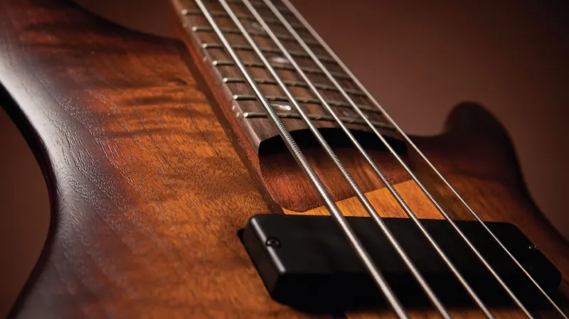 Decoding The Bass course